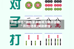 开挂技巧“微乐家乡麻将万能开挂器”开挂(透视)辅助教程