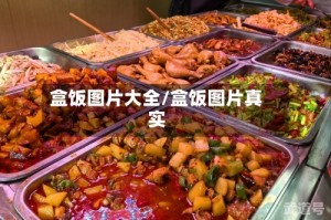 盒饭图片大全/盒饭图片真实