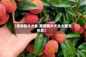 【荔枝图片大全,荔枝图片大全大图无核荔】