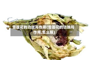 雪莲花的功效与作用(雪莲花的功效与作用,怎么服)