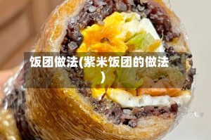 饭团做法(紫米饭团的做法)