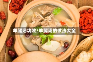 羊腿汤功效/羊腿汤的做法大全