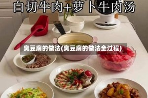 臭豆腐的做法(臭豆腐的做法全过程)