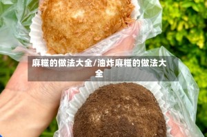 麻糍的做法大全/油炸麻糍的做法大全