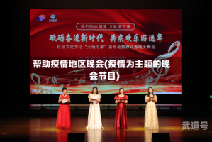 帮助疫情地区晚会(疫情为主题的晚会节目)