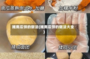 摊南瓜饼的做法(摊南瓜饼的做法大全)