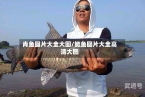 青鱼图片大全大图/鲢鱼图片大全高清大图