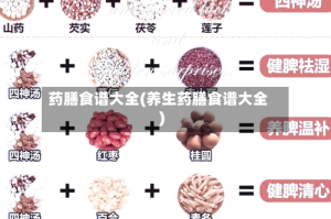 药膳食谱大全(养生药膳食谱大全)