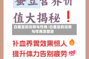 白蚕豆的功效与作用/白蚕豆的功效与作用及禁忌