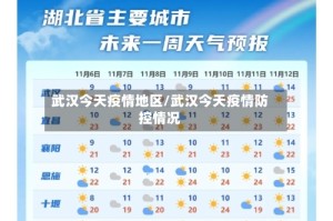武汉今天疫情地区/武汉今天疫情防控情况