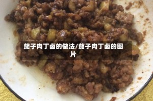茄子肉丁卤的做法/茄子肉丁卤的图片