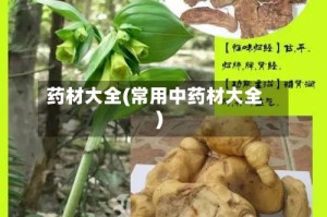 药材大全(常用中药材大全)
