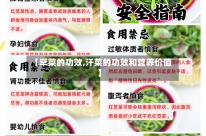 【罕菜的功效,汗菜的功效和营养价值】