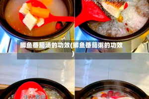 鲫鱼番茄汤的功效(鲫鱼番茄粥的功效)