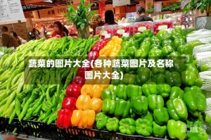 蔬菜的图片大全(各种蔬菜图片及名称图片大全)