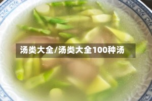 汤类大全/汤类大全100种汤