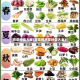 青菜种类大全(常吃的蔬菜种类大全)