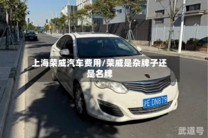 上海荣威汽车费用/荣威是杂牌子还是名牌