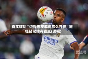 真实辅助“边锋老友麻将怎么开挂”难怪经常输有猫腻(透视)