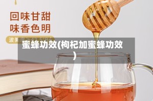 蜜蜂功效(枸杞加蜜蜂功效)