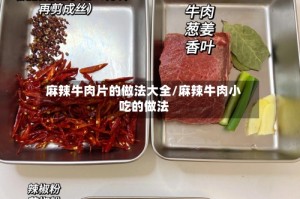 麻辣牛肉片的做法大全/麻辣牛肉小吃的做法