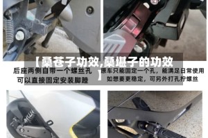 【桑苍子功效,桑堪子的功效】