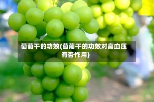 萄葡干的功效(萄葡干的功效对高血压有否作用)