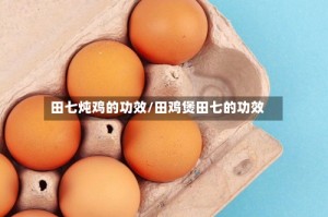 田七炖鸡的功效/田鸡煲田七的功效