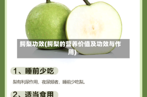 鳄梨功效(鳄梨的营养价值及功效与作用)