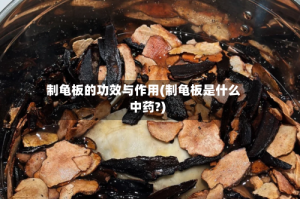 制龟板的功效与作用(制龟板是什么中药?)