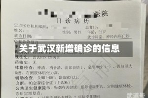 关于武汉新增确诊的信息