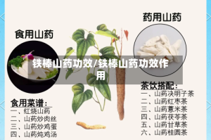 铁棒山药功效/铁棒山药功效作用