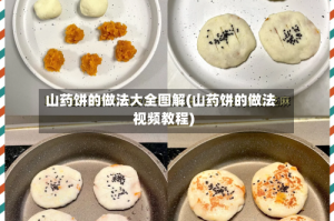 山药饼的做法大全图解(山药饼的做法视频教程)