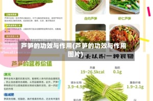 芦笋的功效与作用(芦笋的功效与作用图片)