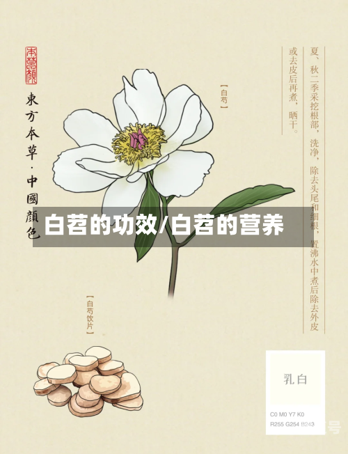 白苕的功效/白苕的营养-第2张图片