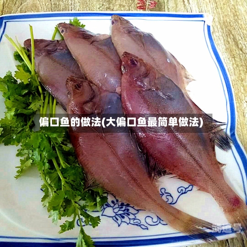 偏口鱼的做法(大偏口鱼最简单做法)-第1张图片