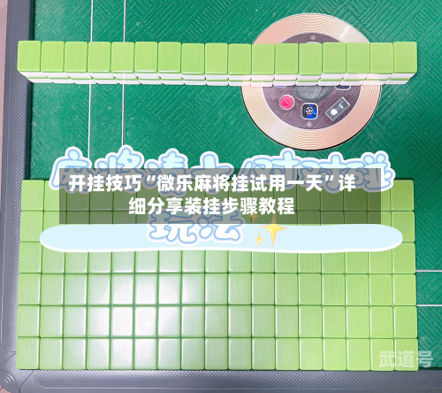 开挂技巧“微乐麻将挂试用一天”详细分享装挂步骤教程-第3张图片