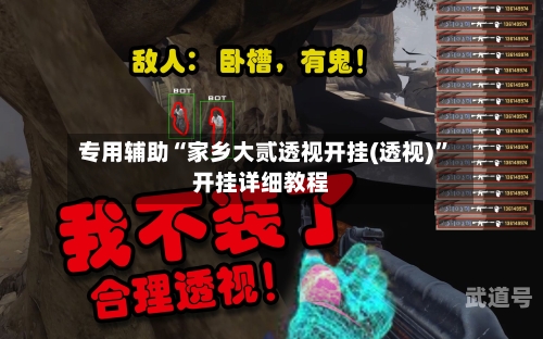 专用辅助“家乡大贰透视开挂(透视)”开挂详细教程-第3张图片