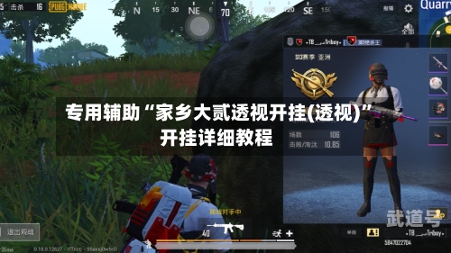 专用辅助“家乡大贰透视开挂(透视)”开挂详细教程-第2张图片