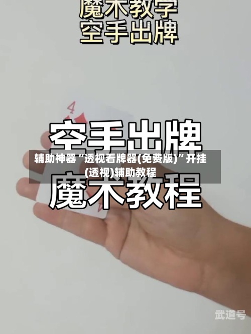 辅助神器“透视看牌器(免费版)	”开挂(透视)辅助教程-第1张图片