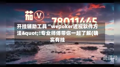 开挂辅助工具“wepoker透视软件方法"!专业师傅带你一起了解(确实有挂-第2张图片