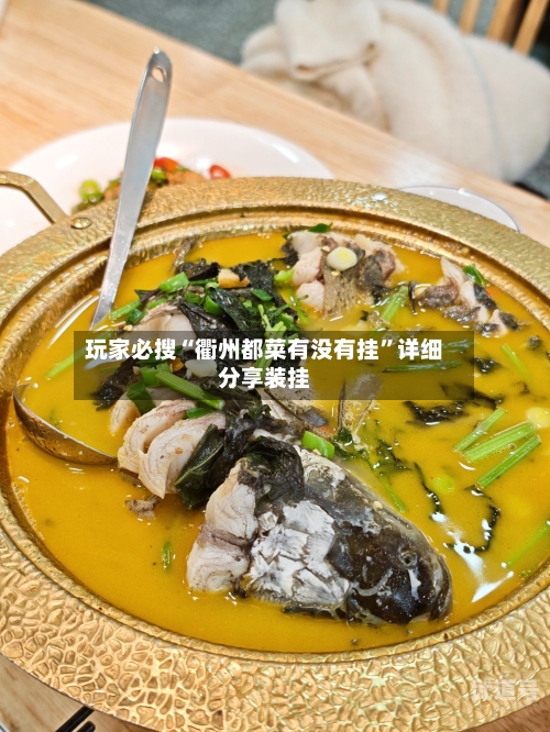 玩家必搜“衢州都菜有没有挂”详细分享装挂-第1张图片