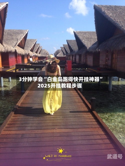 3分钟学会“白金岛跑得快开挂神器”2025开挂教程步骤-第1张图片