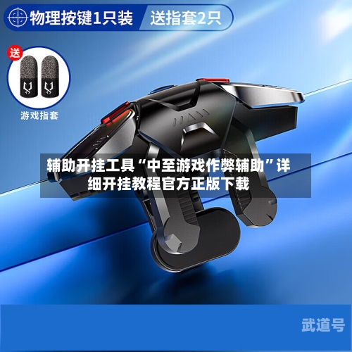 辅助开挂工具“中至游戏作弊辅助”详细开挂教程官方正版下载-第1张图片