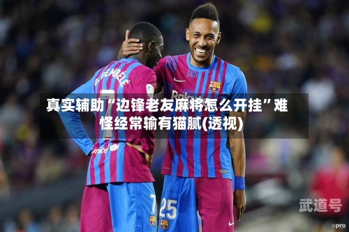 真实辅助“边锋老友麻将怎么开挂”难怪经常输有猫腻(透视)-第2张图片