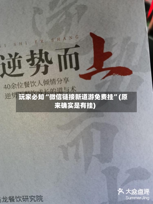 玩家必知“微信链接新道游免费挂	”(原来确实是有挂)-第2张图片