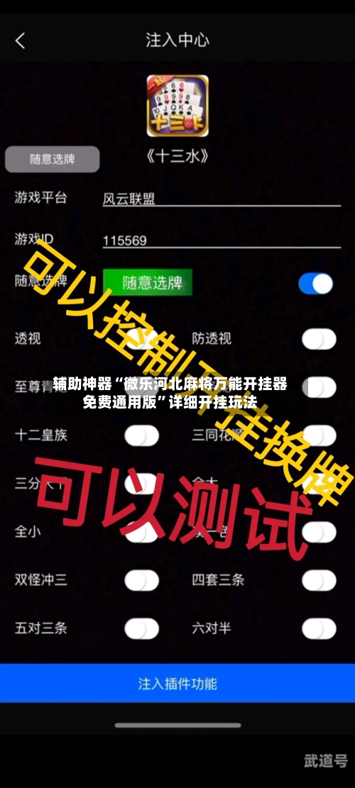 辅助神器“微乐河北麻将万能开挂器免费通用版	”详细开挂玩法-第1张图片